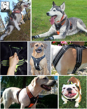 Truelove Nylon Reflektierendes Hundegeschirr in verschiedenen Größen